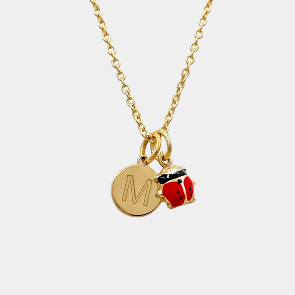 Ladybug necklace and letter charm in 925 silver